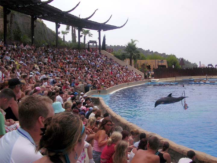 Mundomar Dolphin Show, Benidorm