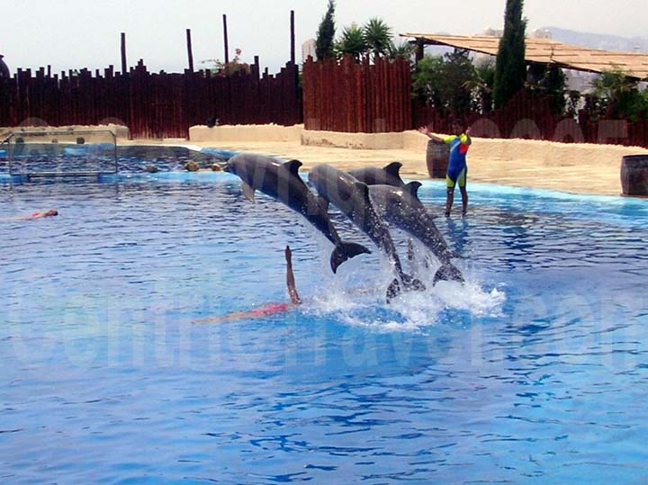 Mundomar Dolphin Show, Benidorm