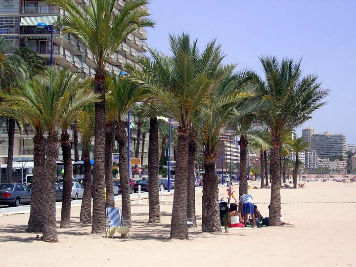 Poniente Beach, Benidorm