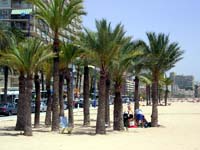 Benidorm Poniente Beach Poniente Beach, Benidorm